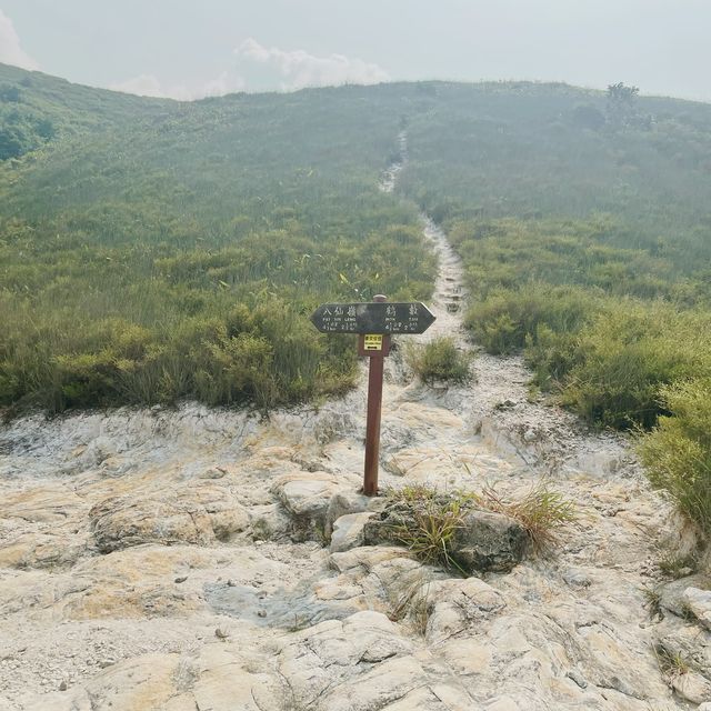 Wilson Trail section 9