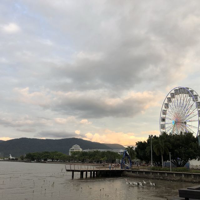 【🇦🇺広さ抜群の空と海が感激を超えてくる】in Cairns