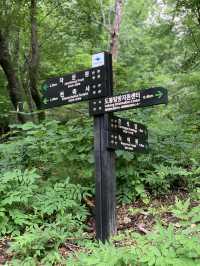 피크닉도 단풍구경도 가능한 ⛰️ 도봉산 