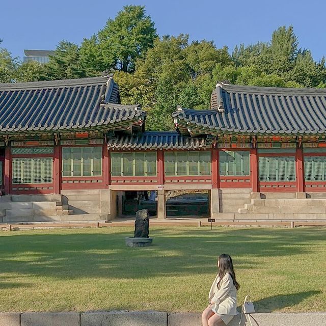 우리나라 덕수궁 나들이 ✨✨