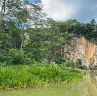 A Hiking Trip To Bukit Timah Nature Reserve!