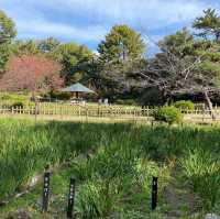 名古屋人氣靚景鶴舞公園