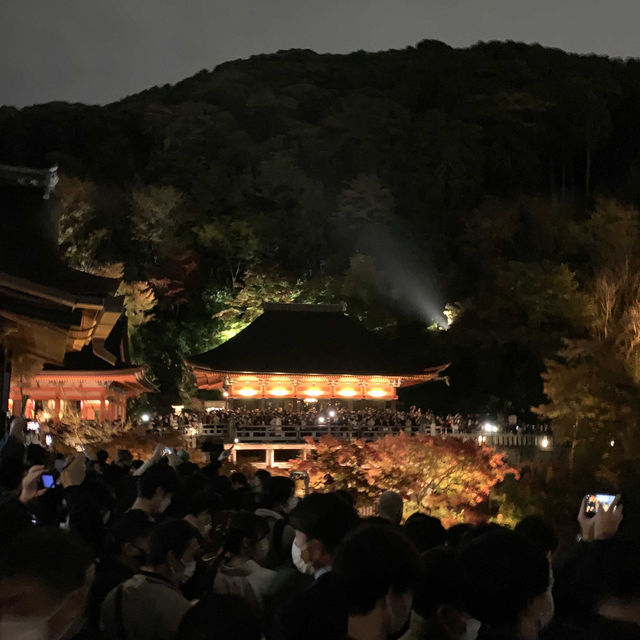 京都紅葉2022  清水寺のライトアップに圧倒される！