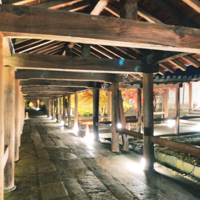 【京都】幻想的な光と影と紅葉