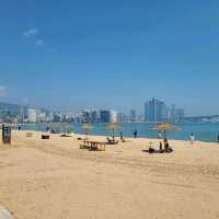광안리 해수욕장 뷰를 마시는 카페 '할리스'