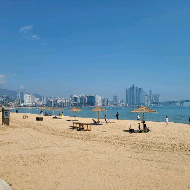 광안리 해수욕장 뷰를 마시는 카페 '할리스'
