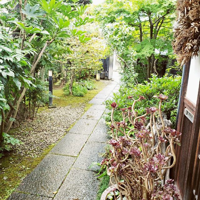 【伊豆仁田】irodori