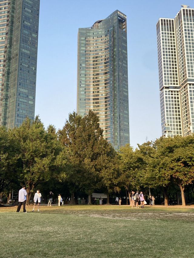 건물과 숲의 조화 🌳 서울숲 