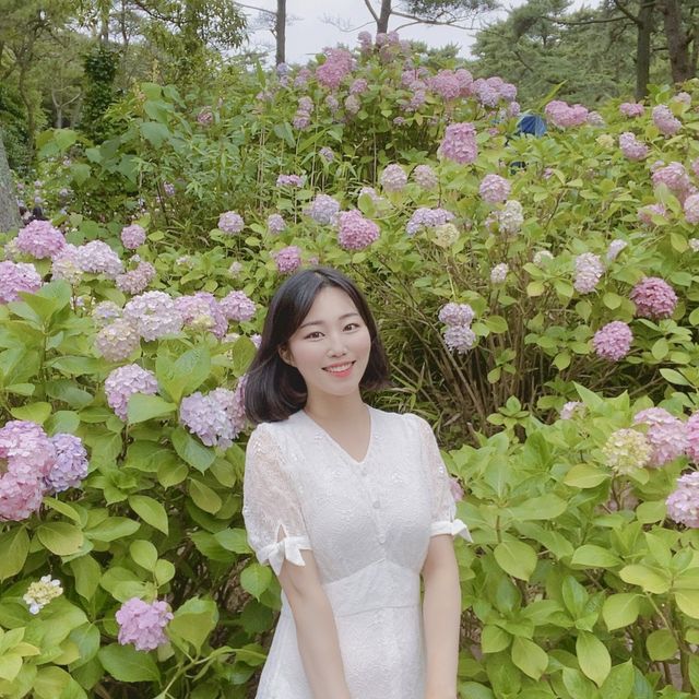 봄에 꼭 가야하는 부산수국명소