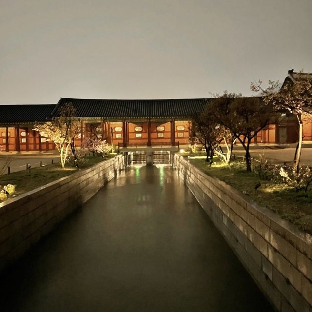 봄바람을 맞으며 즐기는 경복궁의 밤 🌙