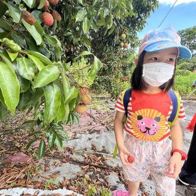 非常有愛❤️的魚菜共生嘅實驗農場
