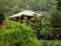 志蓮淨院，南蓮寺略貌