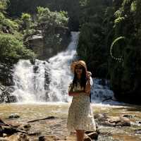 เที่ยวน้ำตกดาตันลา ธรรมชาติสุดเขียวขจีในดาลัท