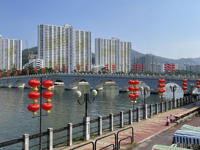 沙田景點-沙田公園