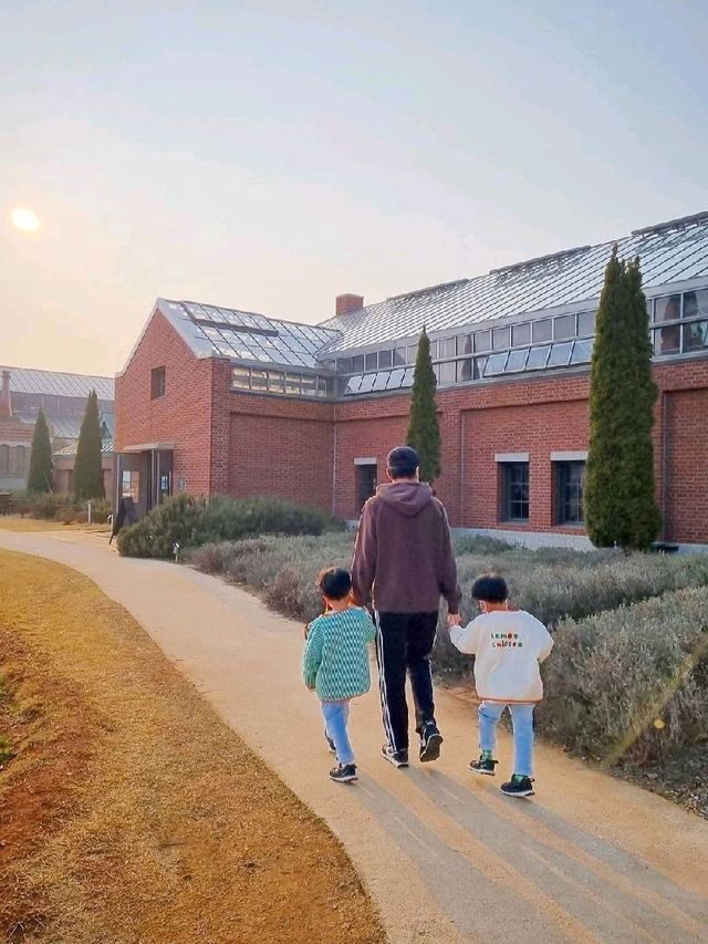 직접 재배한 채소로 식사하는 농원식당