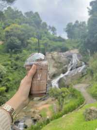 WTF Coffee Camp 🏕🌲