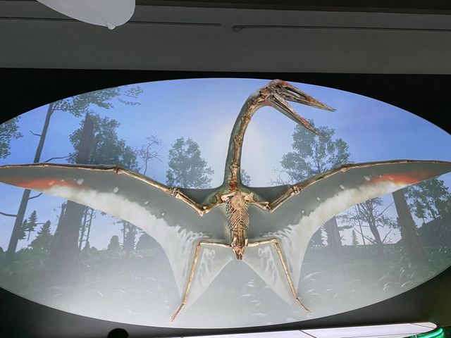 🦕八大．尋龍記🦖