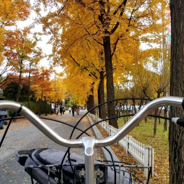 Autumn at Seoul Olympic Park