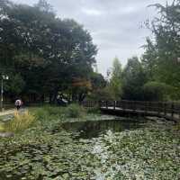 Best botanical garden in Seoul