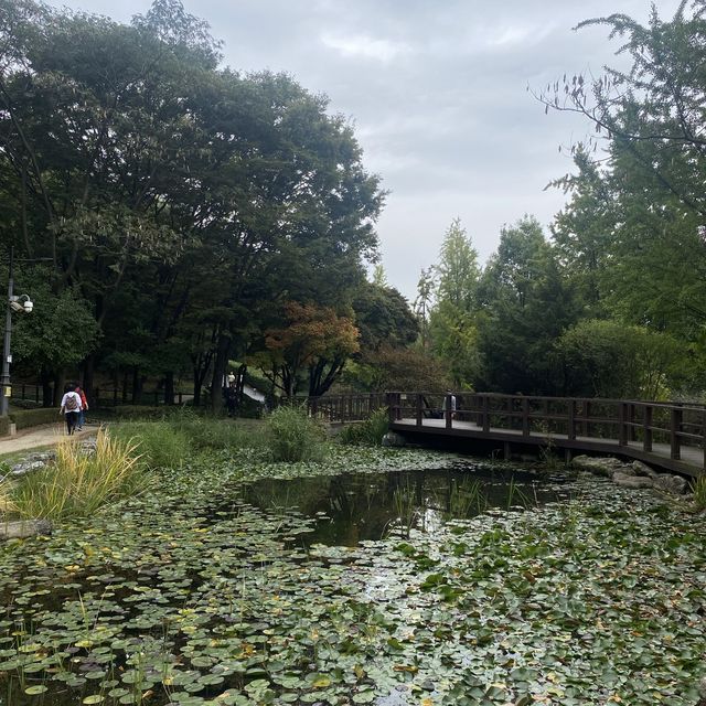 Best botanical garden in Seoul