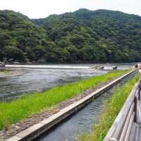 大阪近郊人氣嵐山❤️大片竹林打卡位😉