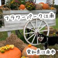 四季折々の花や緑に囲まれた国営木曽三川公園　フラワーパーク江南