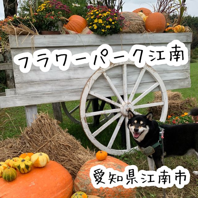 四季折々の花や緑に囲まれた国営木曽三川公園　フラワーパーク江南
