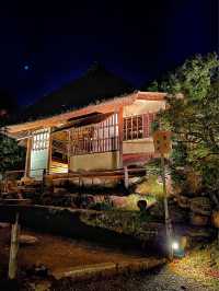【京都】高台寺 夜間特別拝観✨美しすぎる紅葉ライトアップ✨