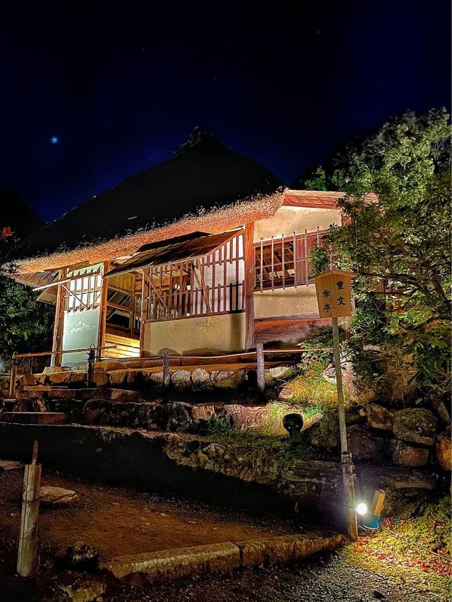 【京都】高台寺 夜間特別拝観✨美しすぎる紅葉ライトアップ✨