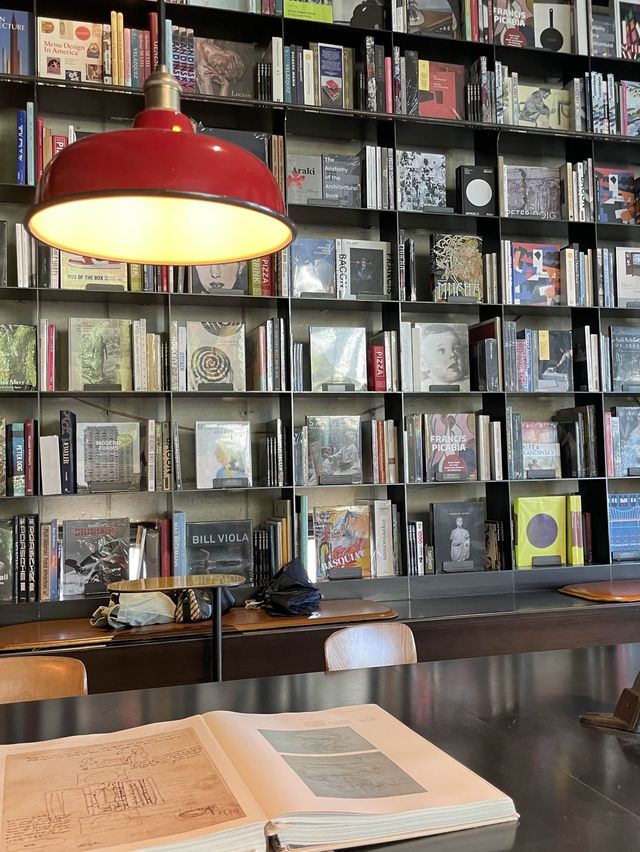 힙한 인생샷 건질수있는 강릉카페 📚