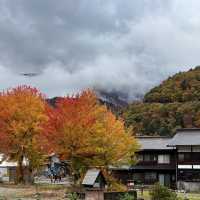 白川八幡神社 及 明善寺🍁🍁