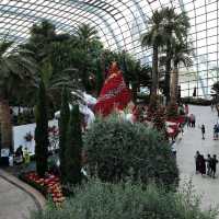 Christmas @ Flower Dome