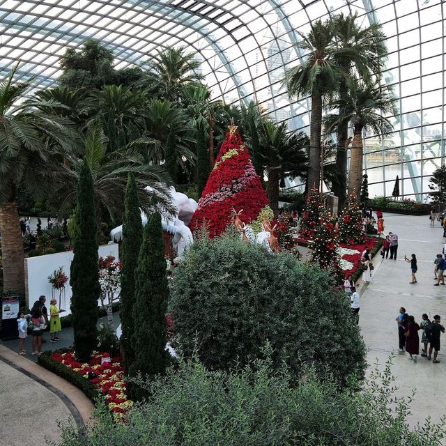 Christmas @ Flower Dome