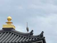 日本京都近千年的世界遺產｜平等院