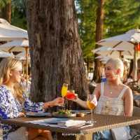 Pine Beach Bar