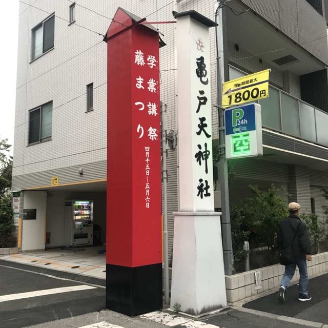 我和紫藤花有個約會 💜💜💜💜 東京