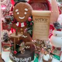 ✨Merry Christmas置地廣場華麗裝飾過聖誕🎊🤶🎄😍✨