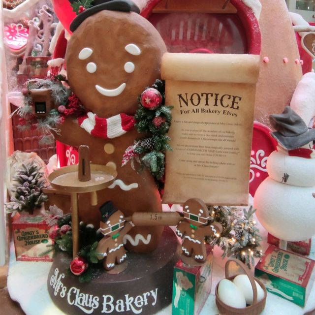 ✨Merry Christmas置地廣場華麗裝飾過聖誕🎊🤶🎄😍✨