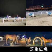 大井競馬場 東京メガイルミ【東京都/品川区】