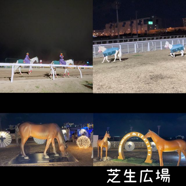 大井競馬場 東京メガイルミ【東京都/品川区】