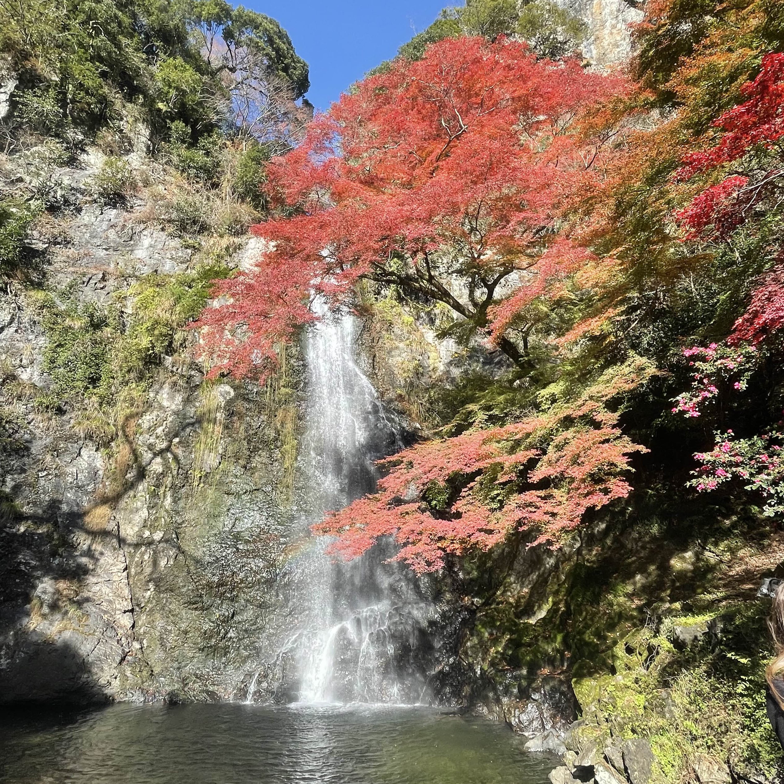 大阪箕面公園散步一日遊 箕面大瀑布 炸楓葉 逛寺廟 Trip Com 箕面市