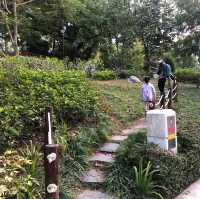 Ma On Shan park with festive decorations 
