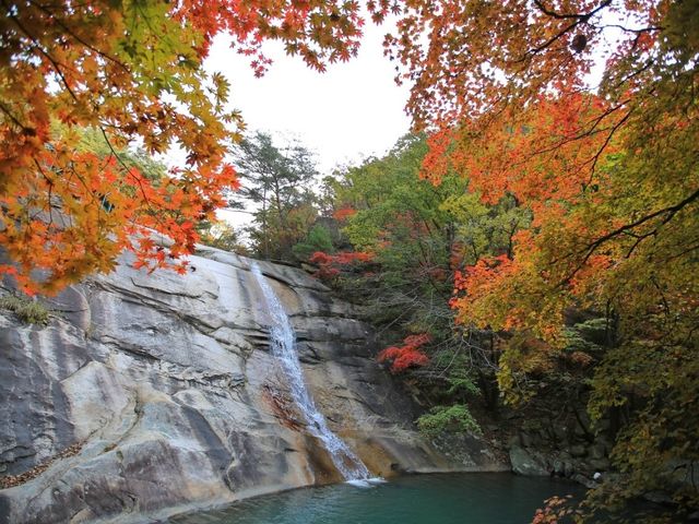 단풍나무 가득한 명성산⛰