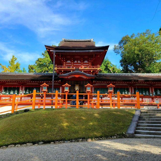 燈籠が日本一多い神社【春日大社】