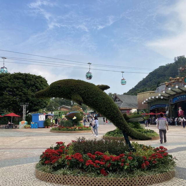 我的童年回憶：海洋公園🐬