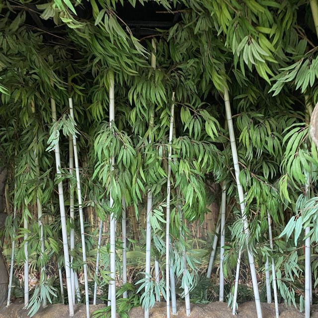 熊貓山莊