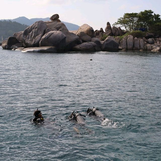 Scuba diving at Koh Tao