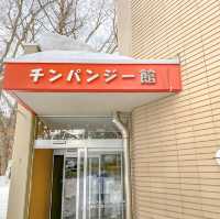 冬の円山動物園・チンパンジー館