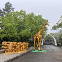 六福村樂園｜刺激的遊樂設施和可愛的野生動物，值得票價