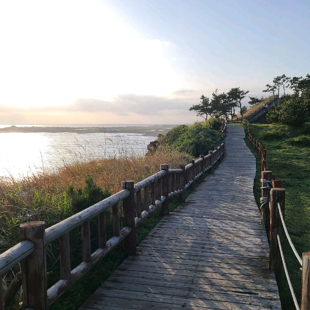 송악산 오션뷰 좋습니다.